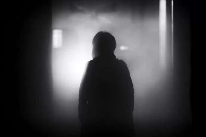 la sombra de lo indesci